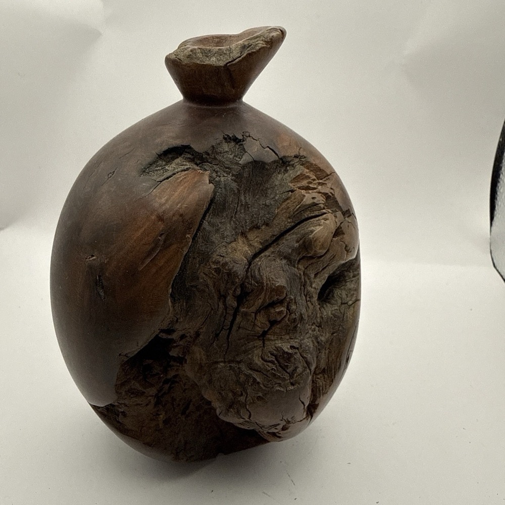 Mid Century Modern 5" Manzanita Burl Wood Bud Vase‎ Spherical Weed Pot Live Edge